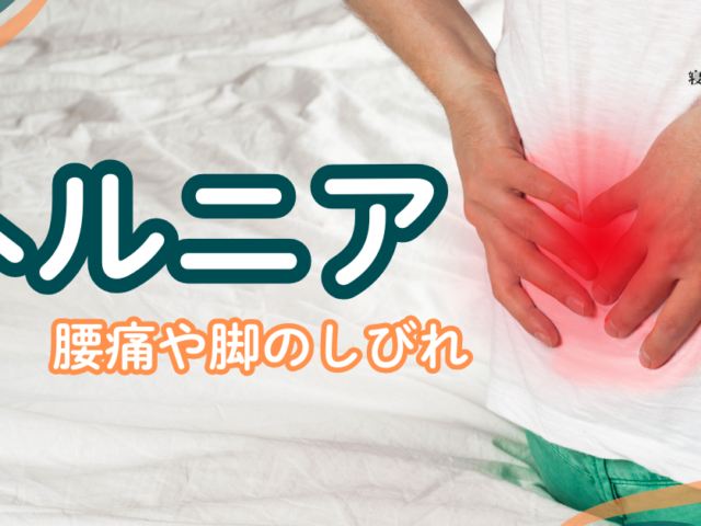 ＼ヘルニアの根本改善！／