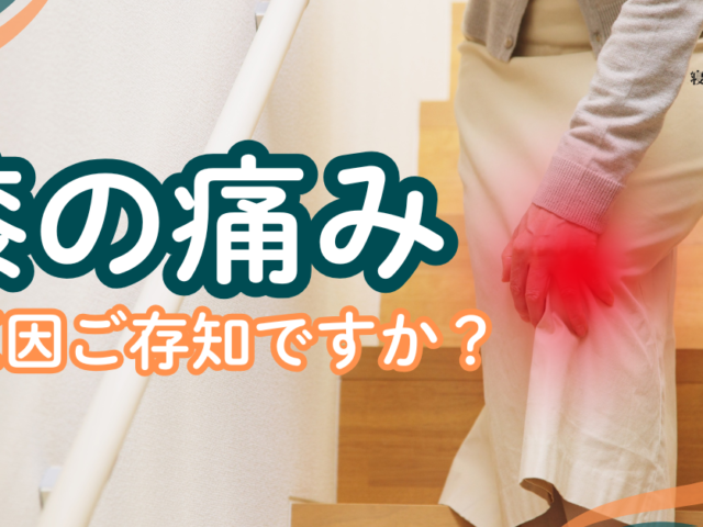 ＼膝の痛みの原因は？／